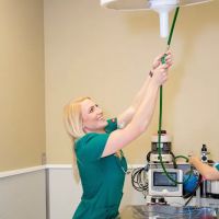 Clifton Hollow Animal Hospital ico