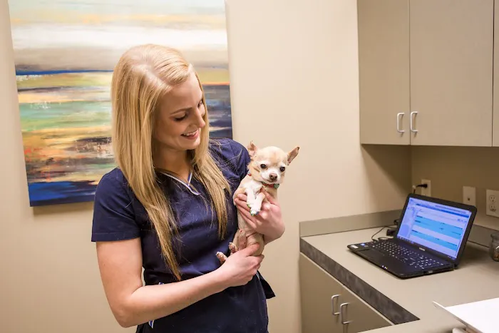 Clifton Hollow Animal Hospital 12