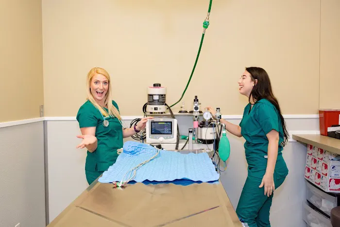 Clifton Hollow Animal Hospital 12