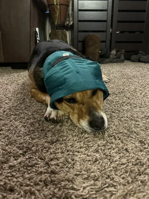 Animal Emergency & Specialty Center 12