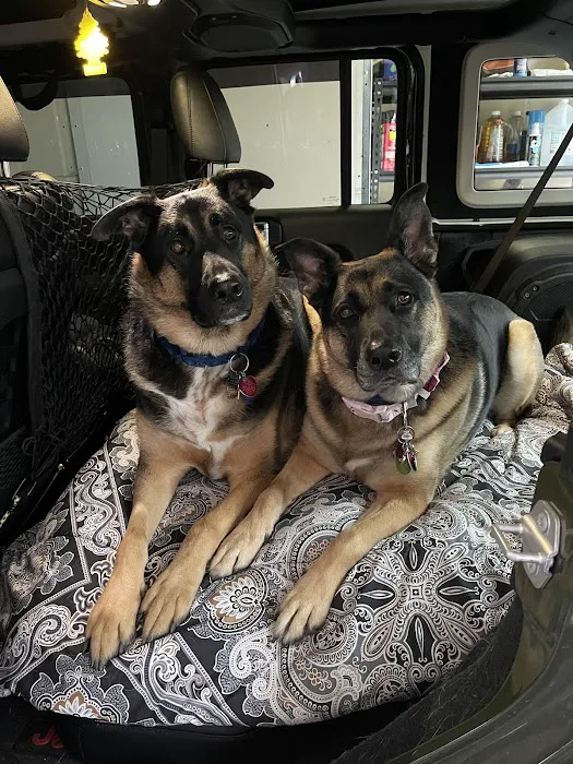 Animal Emergency & Specialty Center 12