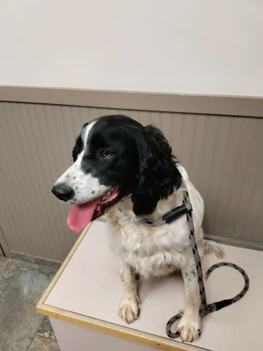 Poulsbo Marina Veterinary Clinic 12
