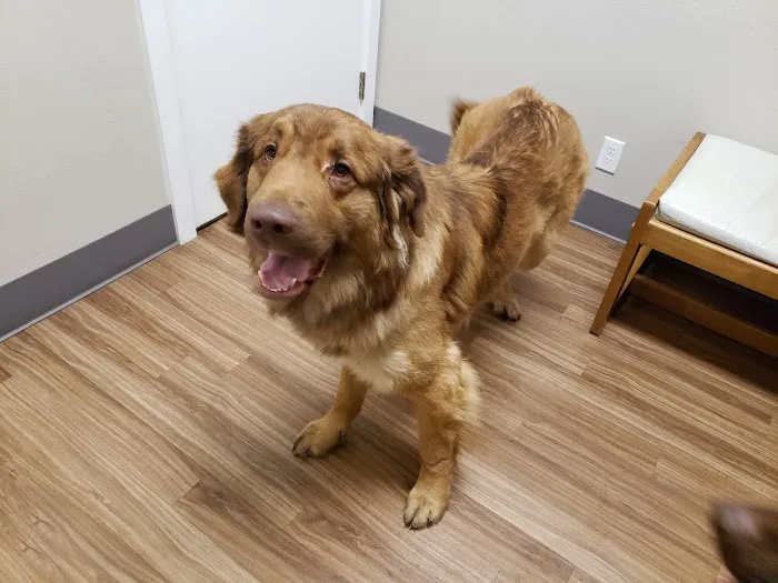Poulsbo Animal Clinic 12