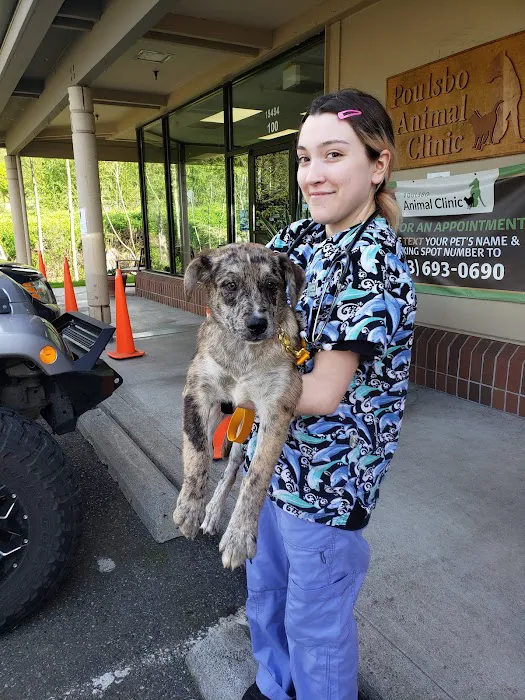 Poulsbo Animal Clinic 12