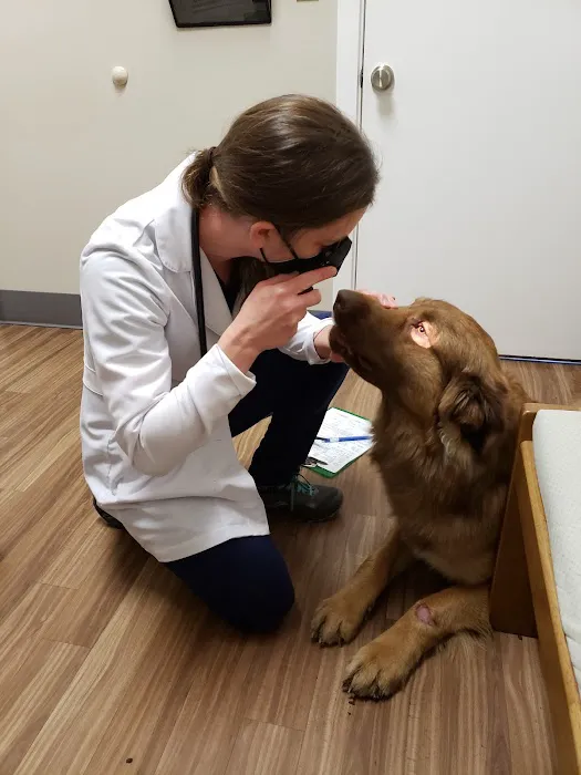 Poulsbo Animal Clinic 12