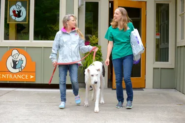 Companion Animal Wellness Center 12