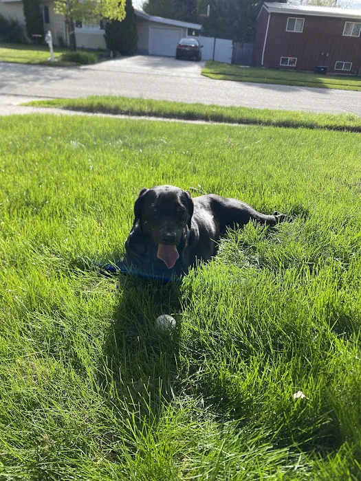 Companion Animal Wellness Center 12