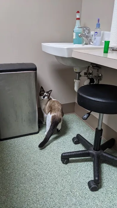 North Bend Animal Clinic 1