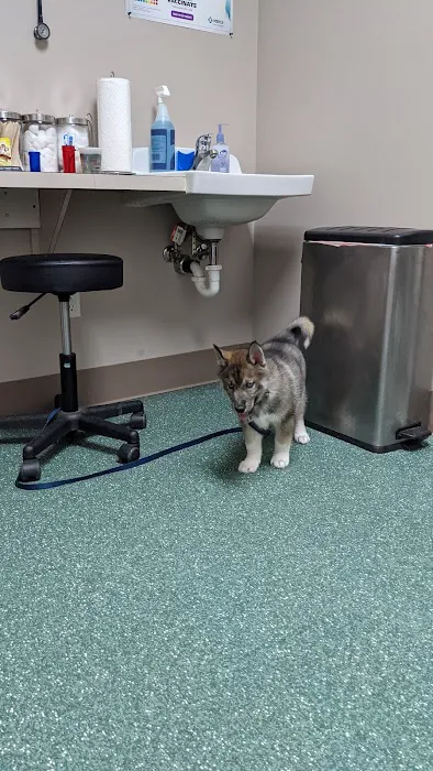 North Bend Animal Clinic 3