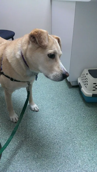 North Bend Animal Clinic 6