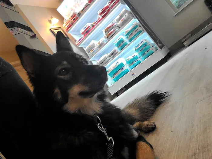 Auburn Valley Animal Clinic 12