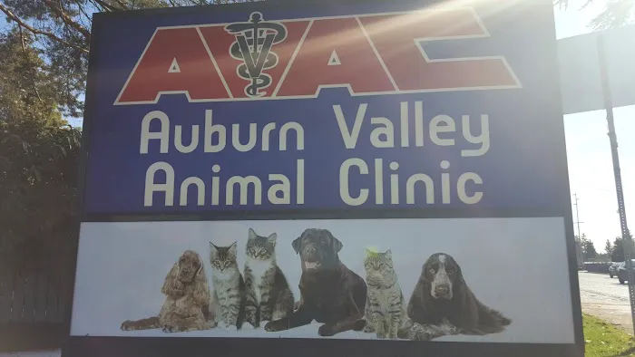 Auburn Valley Animal Clinic 12