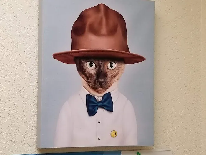 Auburn Veterinary Hospital Inc 12