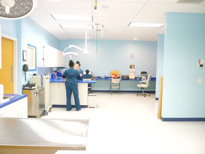 Affordable Animal Emergency Clinic 12