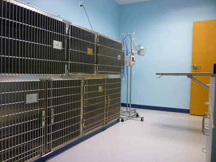 Affordable Animal Emergency Clinic 12