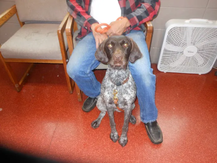 Forest Hill Veterinary Hospital 12