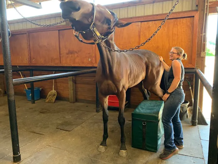 Northwest Equine Veterinary Associates 12