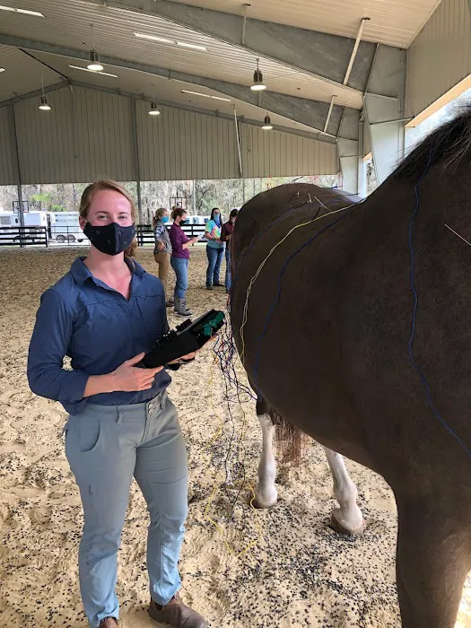 Northwest Equine Veterinary Associates 12