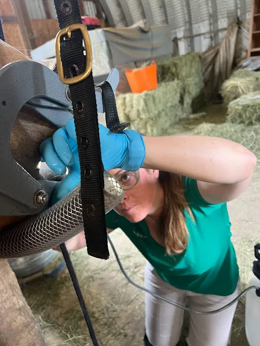Northwest Equine Veterinary Associates 12