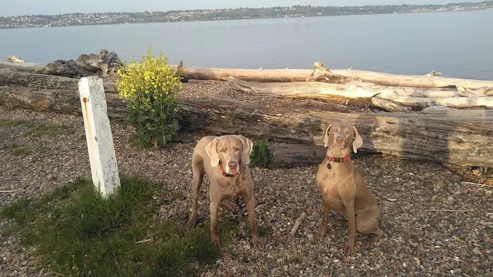 Browns Point Veterinary Clinic 2