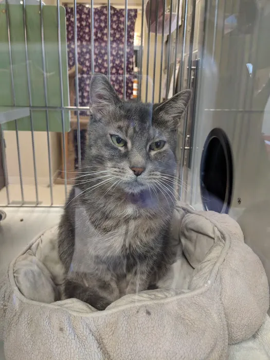 Metropolitan Veterinary Hospital 12