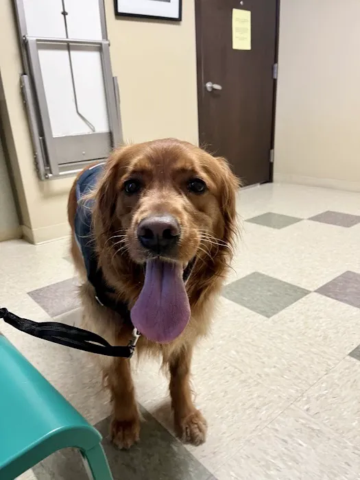 Metropolitan Veterinary Hospital 12