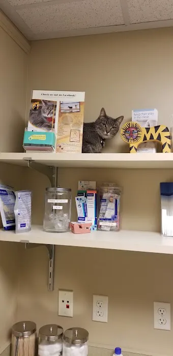 Metropolitan Veterinary Hospital 12