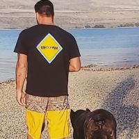 Algona Animal Hospital ico
