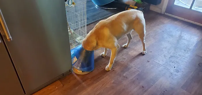 Algona Animal Hospital 12