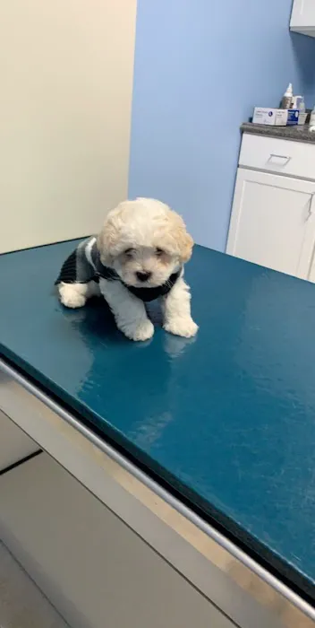 Algona Animal Hospital 12