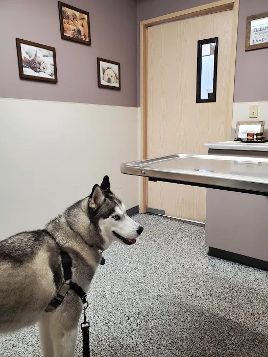 Auburn South Veterinary Hospital 12