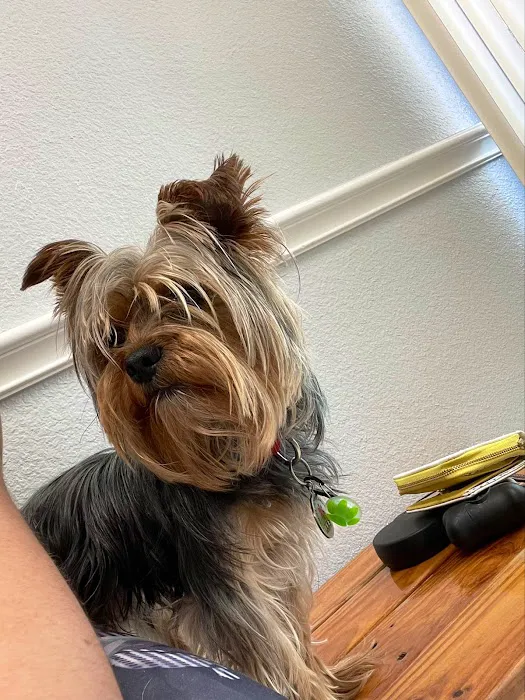 Fort Bend Animal Hospital 12