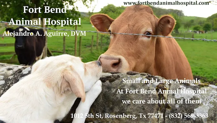 Fort Bend Animal Hospital 12