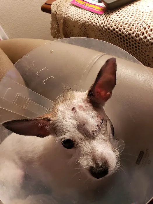Fort Bend Animal Hospital 12