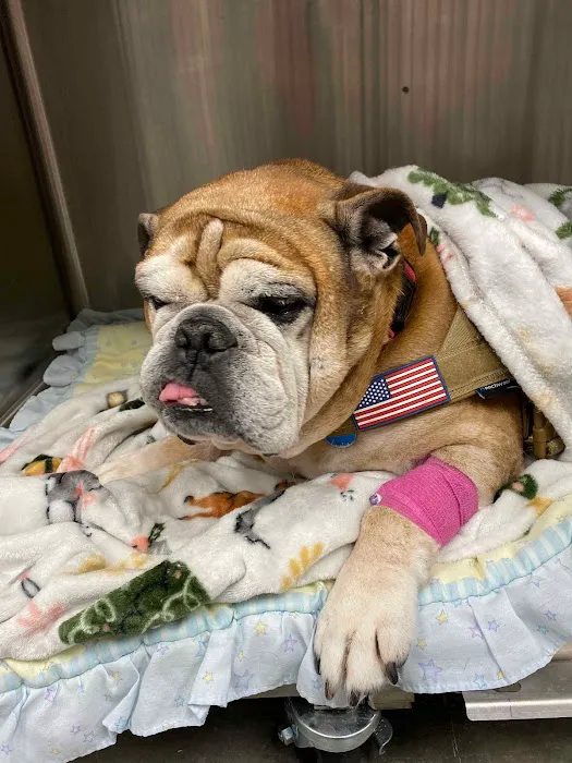Southwest Veterinary Center 2