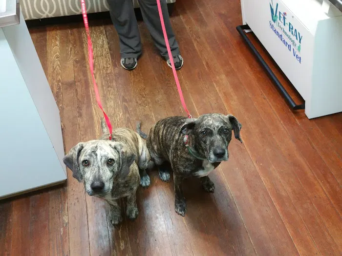 Dietz Family Pet Hospital 12