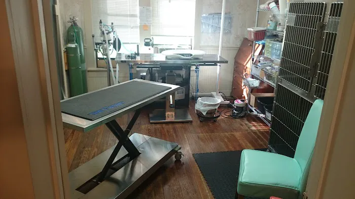 Dietz Family Pet Hospital 12
