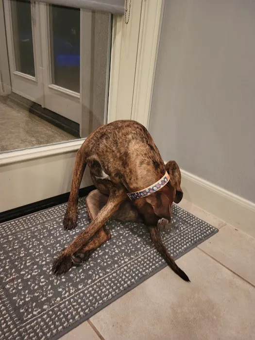 Fulshear Animal Hospital 3