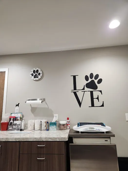 Four Paws at Fulshear Veterinary Clinic 1