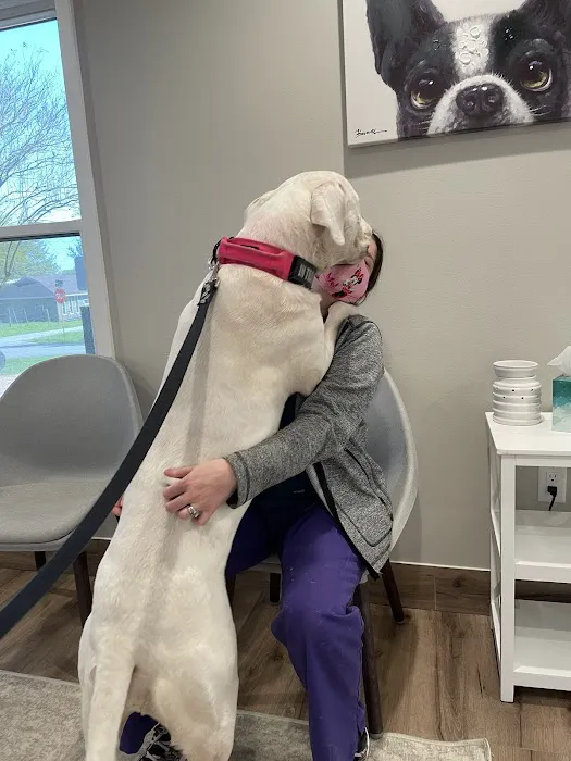 Four Paws at Fulshear Veterinary Clinic 6