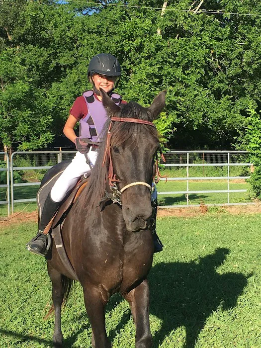 Hannahs Horse Clinic 12