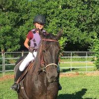 Hannahs Horse Clinic ico
