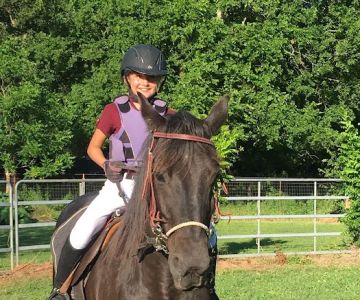 Hannahs Horse Clinic