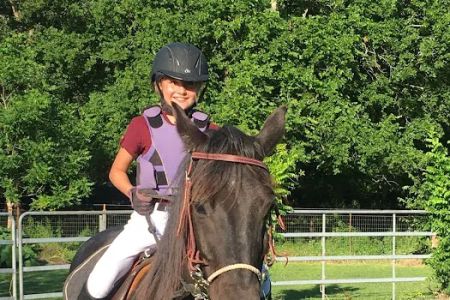 Hannahs Horse Clinic