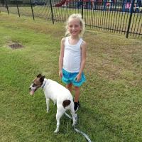 Brookshire Small Animal Clinic ico