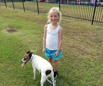 Brookshire Small Animal Clinic