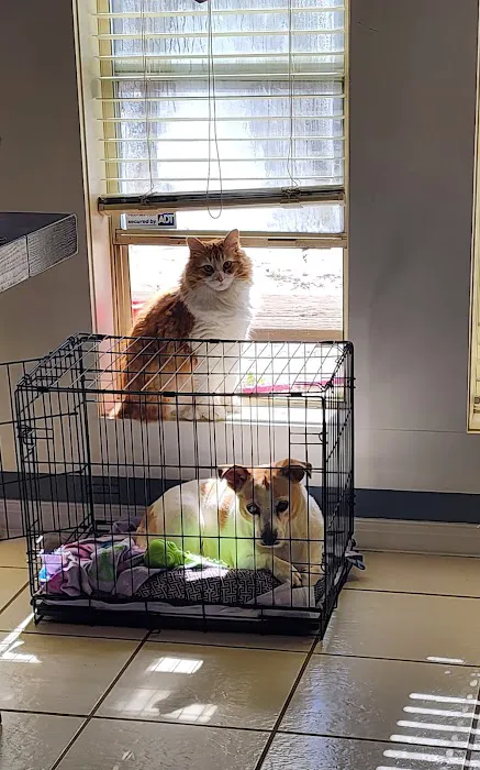 Buna Animal Hospital 1
