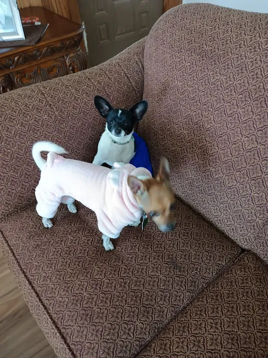 Buna Animal Hospital 10