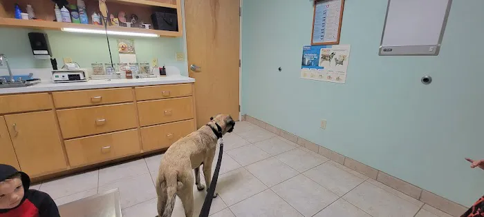 Jordan Veterinary Clinic 8