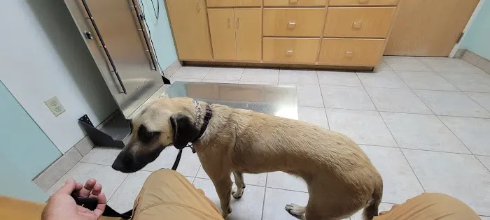 Jordan Veterinary Clinic 2